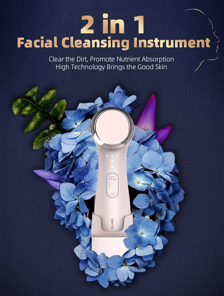 Home Use Product 2021 Beauty Care Imported Waterproof 2 in 1 Face Cleaning Brush Devices